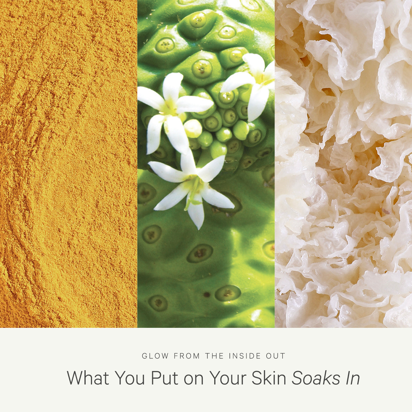 The Refloralization™ Kit - Image 3