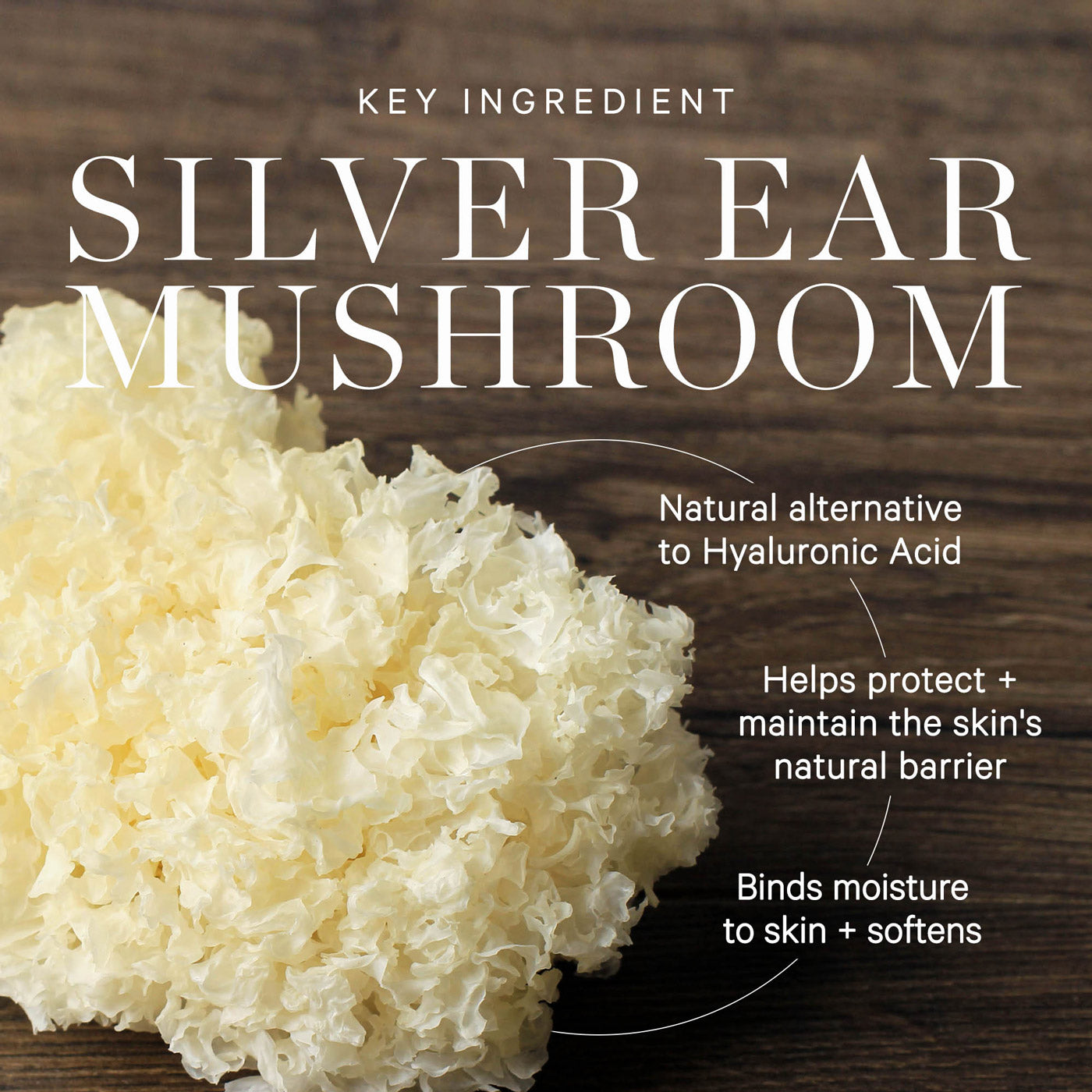 Milky Mushroom Gentle Cleansing Oil - Image 5